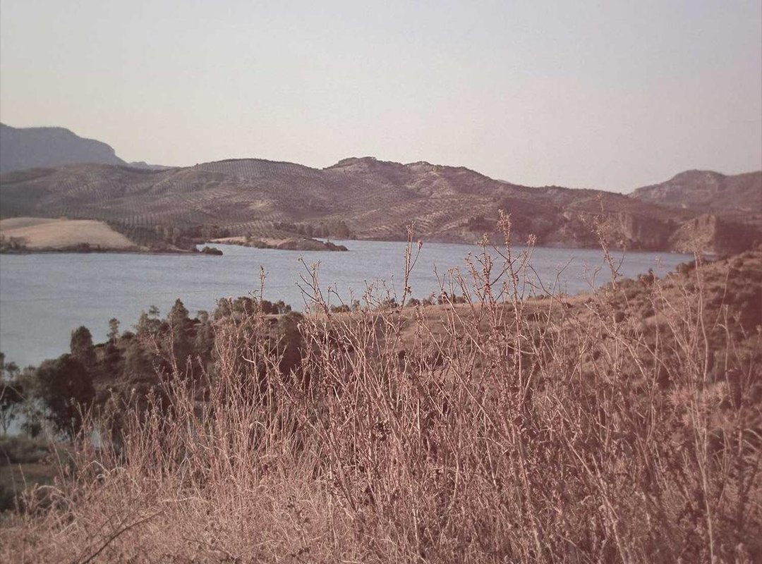 Comparisons: Lauren Alexis vs. Other Top Performers