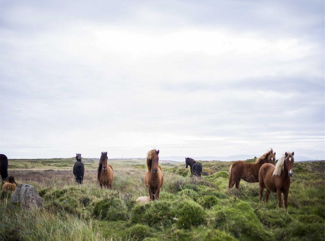 Pro Tips: How to Print, Color, and Craft Your Food Items