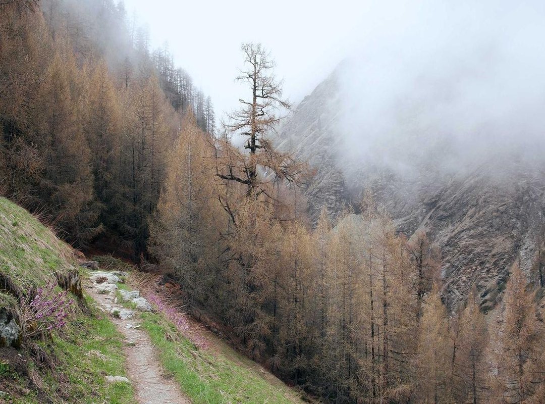 From 70s Classic to Modern Remix: Why the Song is Back