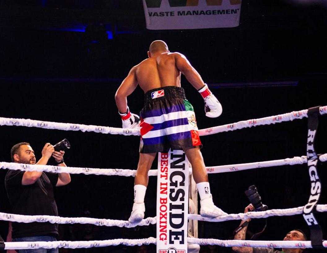 Zumoto Chieloka Boxer